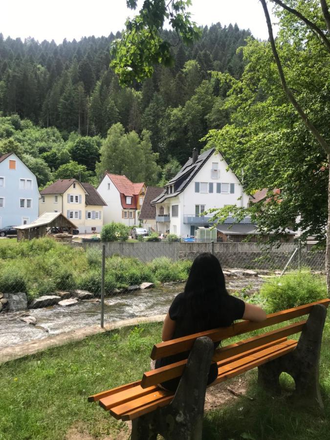שילטך S-Villa Apartments Im Schwarzwald מראה חיצוני תמונה