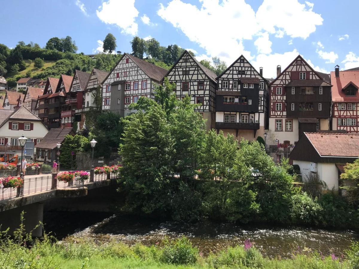 שילטך S-Villa Apartments Im Schwarzwald מראה חיצוני תמונה