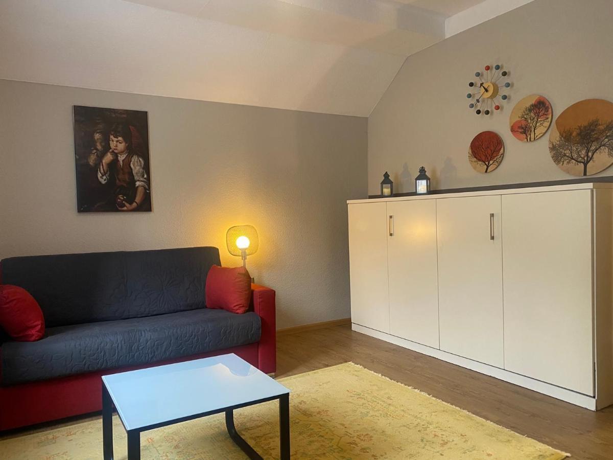 שילטך S-Villa Apartments Im Schwarzwald מראה חיצוני תמונה